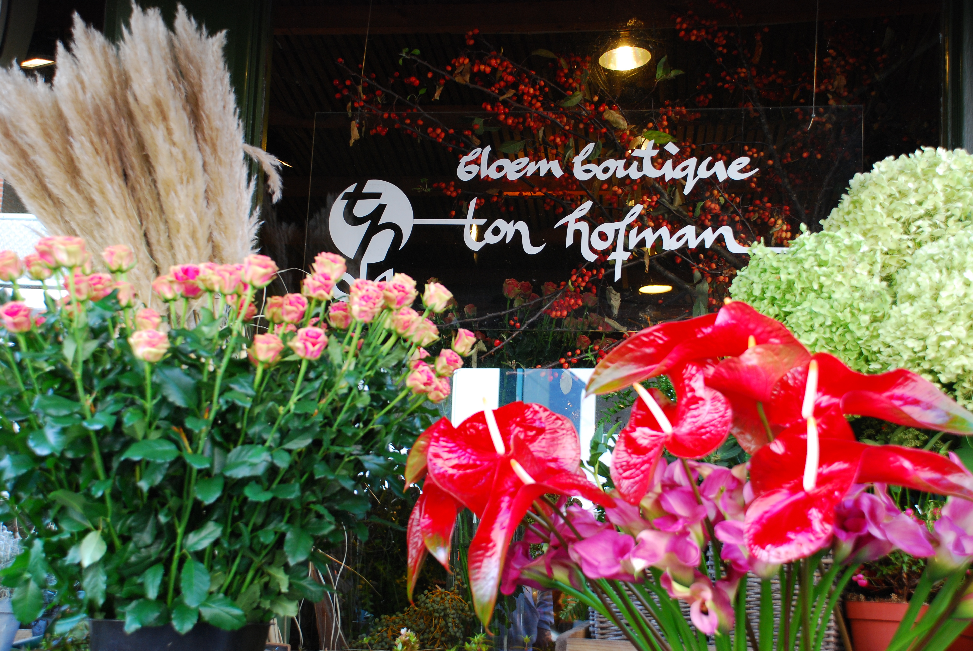 Bloemboutique Ton Hofman